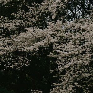 Meet your Posher, Kady